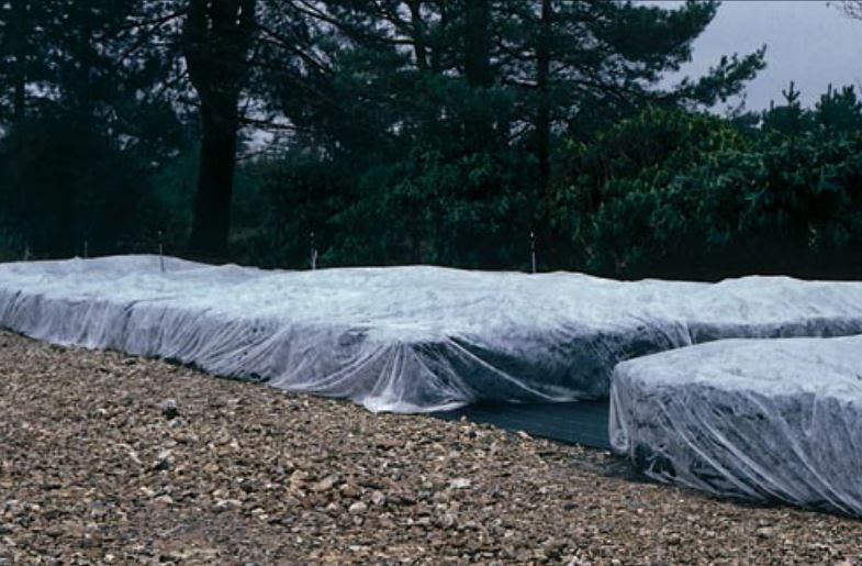 Fleece covers on container crops can provide a useful means of extra protection